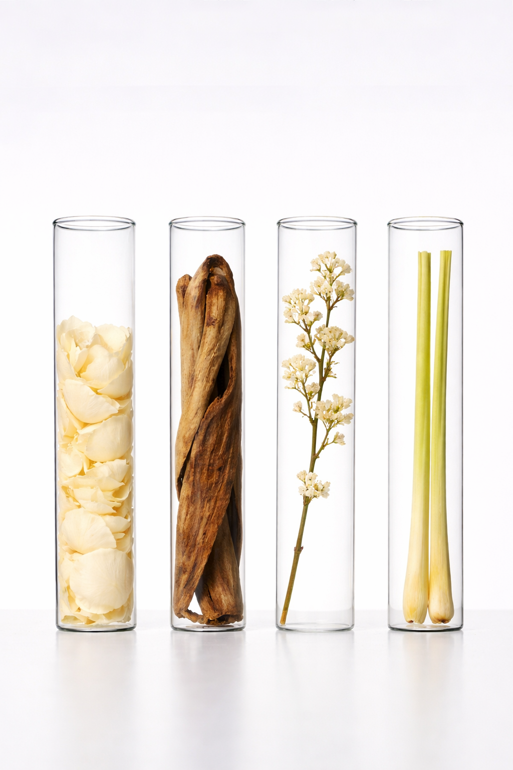 1331 botanical ingredients in glas tubes